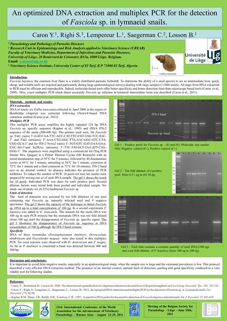 An optimized DNA extraction and multiplex PCR for the detection of Fasciola sp. in lymnaeid snails. Reference: - Caron, Y., Rondelaud, D., Losson, B.,