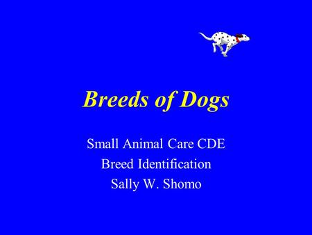 Breeds of Dogs Small Animal Care CDE Breed Identification Sally W. Shomo.