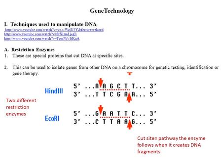 GeneTechnolog y I. Techniques used to manipulate DNA