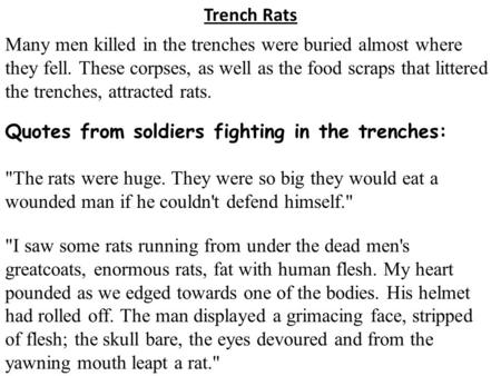 Trench Rats Many men killed in the trenches were buried almost where they fell. These corpses, as well as the food scraps that littered the trenches, attracted.