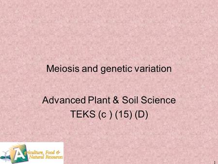 Meiosis and genetic variation