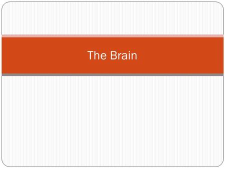 The Brain. Problems with the Brain… Dementia – group of symptoms affecting intellectual and social abilities severely enough to interfere with daily.