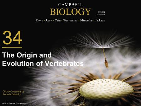 The Origin and Evolution of Vertebrates