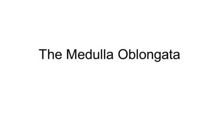 The Medulla Oblongata. The medulla oblongata is the most inferior of the brain regions It is directly superior to the spinal cord Its basic job is to.