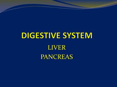 DIGESTIVE SYSTEM LIVER PANCREAS.