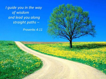 I guide you in the way of wisdom and lead you along straight paths – Proverbs 4:11.