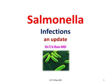 Salmonella Infections an update