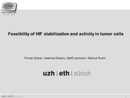 Uzh | eth | zürich 1 animal imaging center uzh  eth  zürich Feasibility of HIF stabilization and activity in tumor cells Florian Stuker, Katerina Dikaiou,