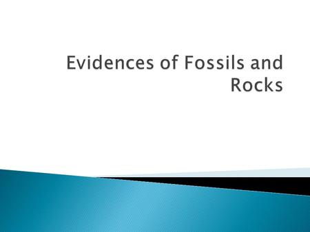  Fossils -evidence of ancient life forms or ancient habitats which have been preserved by natural processes. They can be the actual remains of a once.