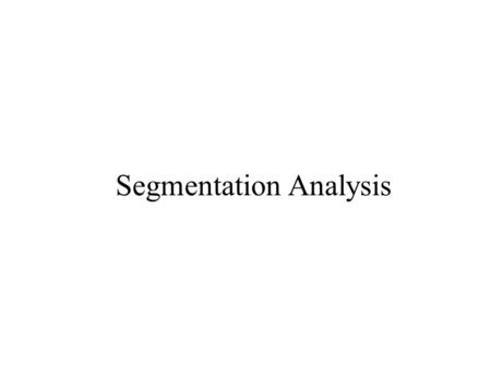 Segmentation Analysis