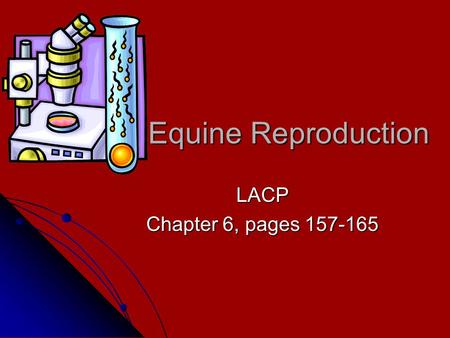 Equine Reproduction LACP Chapter 6, pages 157-165.