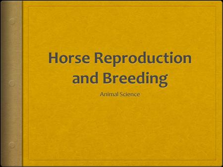 When can a mare be bred?  Peak time is between April to June  Prime age of mare for breeding is 3-10 years old  The best age is 3 years old  Mares.