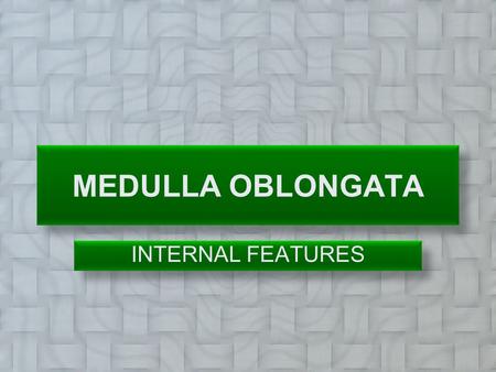 MEDULLA OBLONGATA INTERNAL FEATURES.