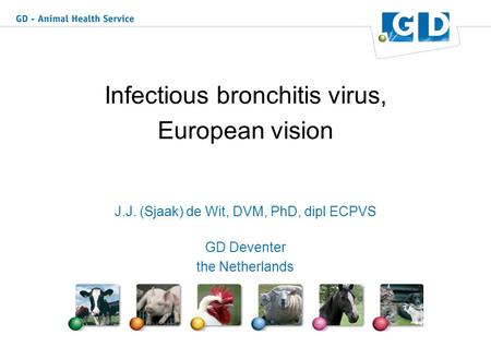 Infectious bronchitis virus, European vision