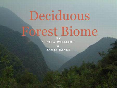 BY TENIKA WILLIAMS & JAMIE BANKS Deciduous Forest Biome.