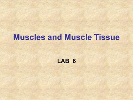 Muscles and Muscle Tissue