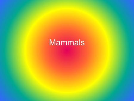 Mammals. Unit Map Set up Unit Name: Mammals Unit Essential Question: What are the different types of mammals? Concepts: (Fill in after we take our test)