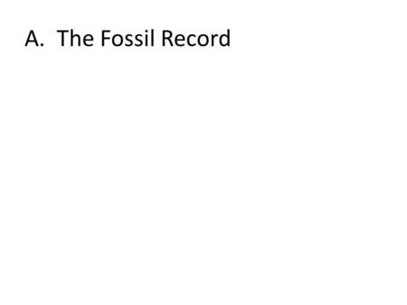 A. The Fossil Record. The Law of Succession pygmy armadillo fossil glyptodontfossil Diprotodon wombat.