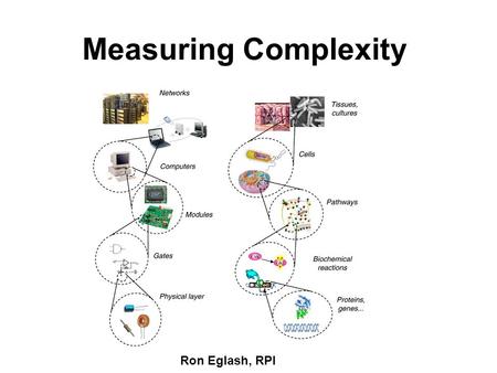 Measuring Complexity Ron Eglash, RPI. Intuitively, we know systems are complex if they have “nested” or “nearly decomposable” hierarchies of scale Note.