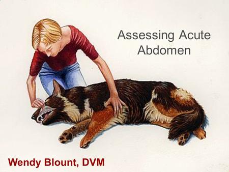 Assessing Acute Abdomen Wendy Blount, DVM. DDx Acute Abdomen Acute Abdomen Rapid onset of abdominal pain Acute onset of clinical signs related to abdominal.