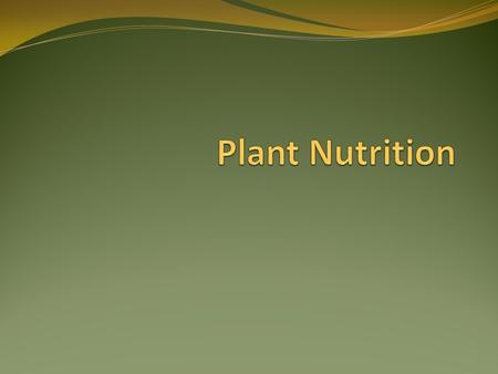 Minerals H2OH2O H2OH2O O2O2 O2O2 CO 2 Control: Solution containing all minerals Experimental: Solution without potassium.