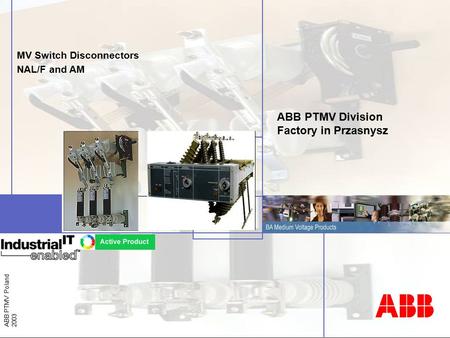 BU MV fuses / MV Switch Disconnectors