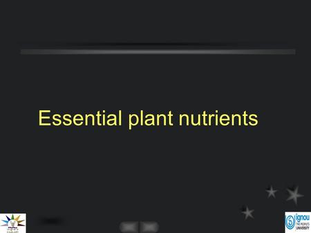 Essential plant nutrients. Introduction The element is involved directly in the nutrition of the plant quite apart from its possible effects in correcting.