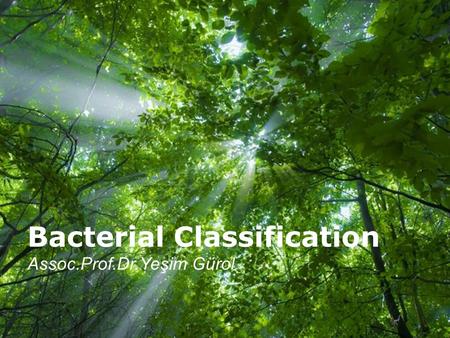 Bacterial Classification