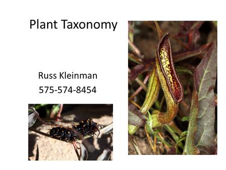 Plant Taxonomy Russ Kleinman 575-574-8454. I’ll go first… I am a retired board certified general surgeon with nearly 30 years of surgical experience in.