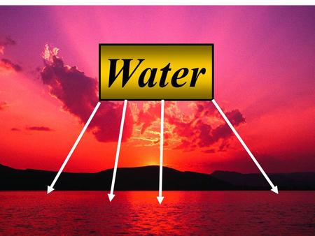 Water. Buried Water Molecules -Binding -Reactions Surface Water Molecules -Structure -Dynamics -Effect on Protein Motions Water in and on Proteins.