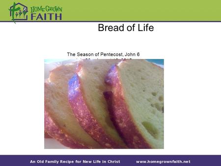 Bread of Life The Season of Pentecost, John 6 July 26 – August 16, 2015.