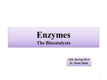 Enzymes The Biocatalysts