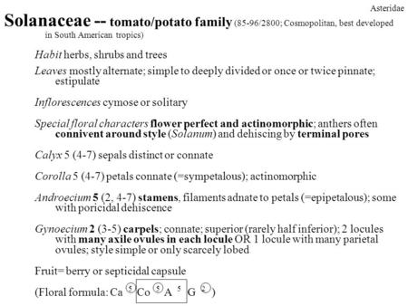 Asteridae Solanaceae -- tomato/potato family (85-96/2800; Cosmopolitan, best developed 	in South American tropics) Habit herbs, shrubs and trees Leaves.