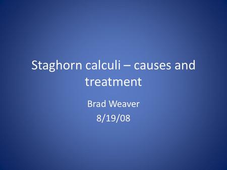 Staghorn calculi – causes and treatment Brad Weaver 8/19/08.