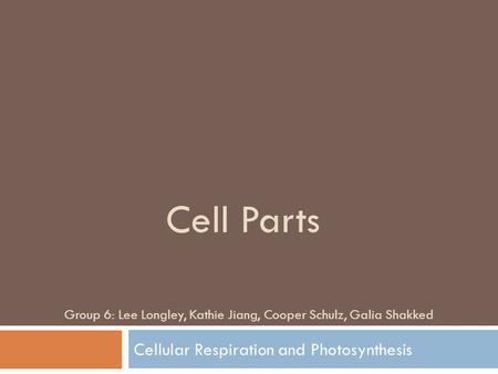 Cellular Respiration and Photosynthesis