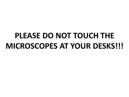 PLEASE DO NOT TOUCH THE MICROSCOPES AT YOUR DESKS!!!