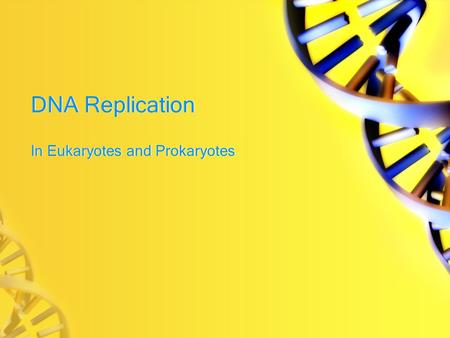 In Eukaryotes and Prokaryotes