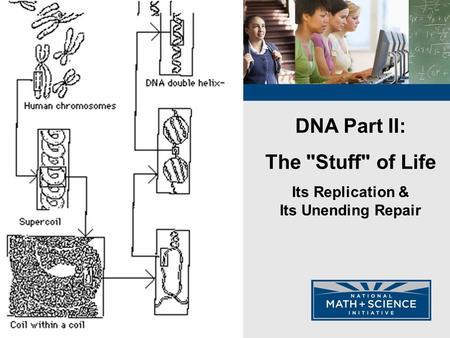 01 Introduction to Cell Respiration STUDENT HANDOUTS