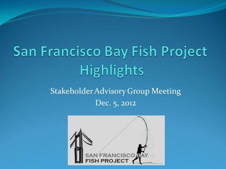 Stakeholder Advisory Group Meeting Dec. 5, 2012. Project Highlights Stakeholder Advisory Group (SAG) evaluation Funded group evaluations Educational materials.