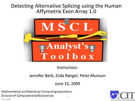 June 2009 1 Detecting Alternative Splicing using the Human Affymetrix Exon Array 1.0 Instructors: Jennifer Barb, Zoila Rangel, Peter Munson June 15, 2009.