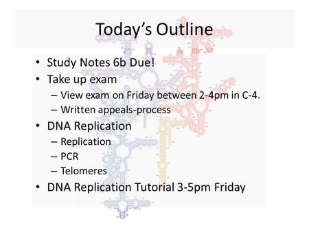 Today’s Outline Study Notes 6b Due! Take up exam – View exam on Friday between 2-4pm in C-4. – Written appeals-process DNA Replication – Replication –