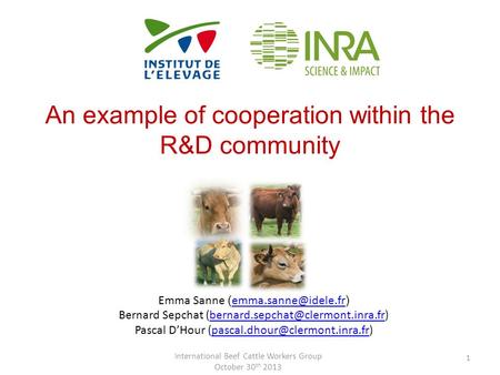 An example of cooperation within the R&D community International Beef Cattle Workers Group October 30 th 2013 1 Emma Sanne ( )