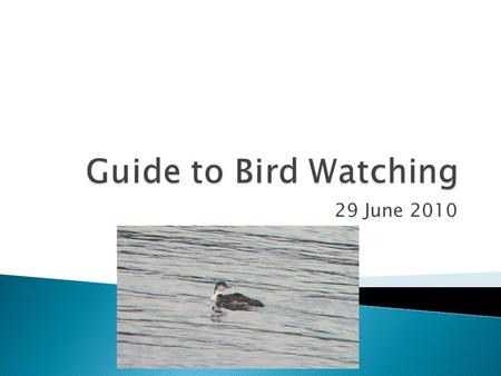 29 June 2010.  Aristotle put together a list of birds (n =170) of which 74 can easily be recognized today  Pliny the Elder (23-79 AD) did much the same.