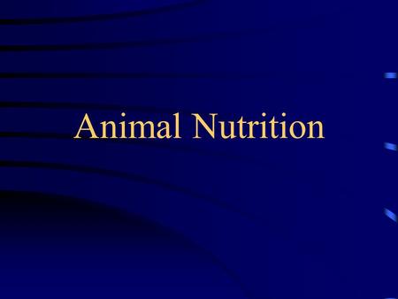 Animal Nutrition.