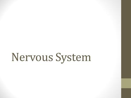 Nervous System.