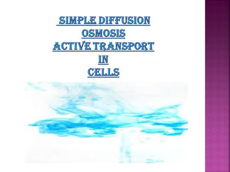  Transport can be passive or active.  Passive requires no energy and moves down a concentration gradient from high to low concentration  Active requires.