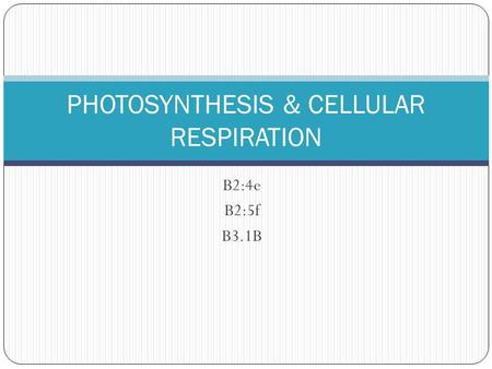 B2:4e B2:5f B3.1B PHOTOSYNTHESIS & CELLULAR RESPIRATION.