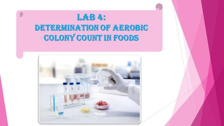 Lab 4: Determination of Aerobic colony count in Foods