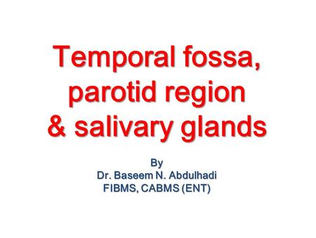 Temporal fossa, parotid region