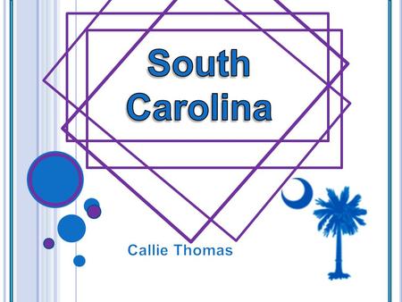 Capital : Columbia S OUTH C AROLINA INFORMATION State Symbols Flower: Carolina yellow Jessamine Tree: palmetto tree (1939) Bird: Carolina wren (1948.